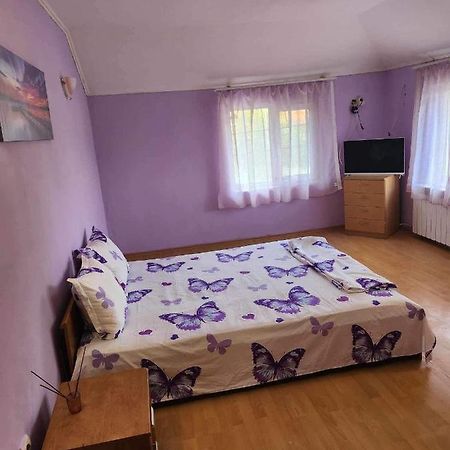 Guest House Iveta Sofia Extérieur photo
