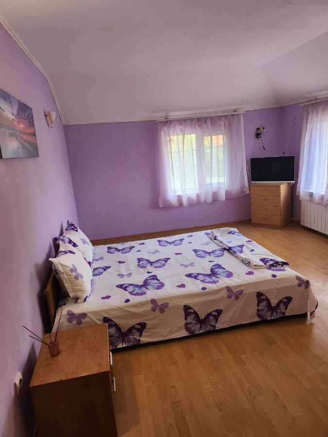 Guest House Iveta Sofia Extérieur photo